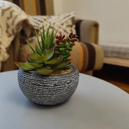 Apartmán Terrace 10min From Termal Bath